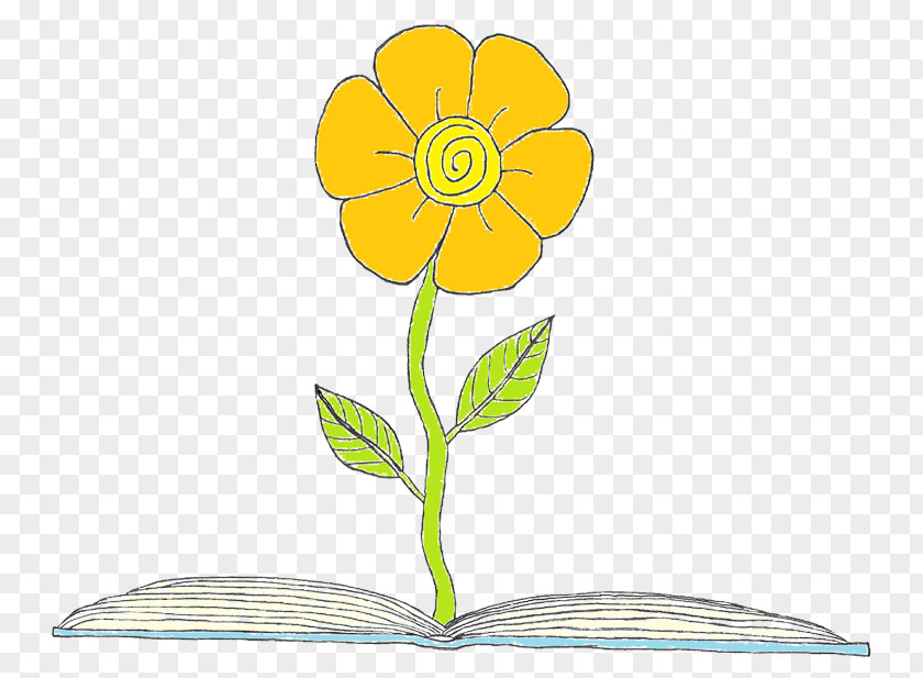 Kindergarten Writing Book Orange Clip Art Floral Design Sunflower M Cut Flowers Plant Stem PNG