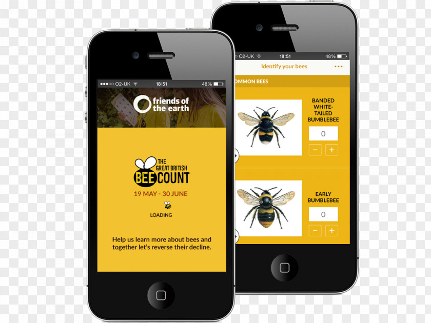 Plant Identification Smartphone Bee Pollinator IPhone United Kingdom PNG