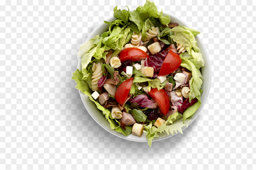 Salad Bar Greek Israeli Caesar Waldorf Tuna PNG