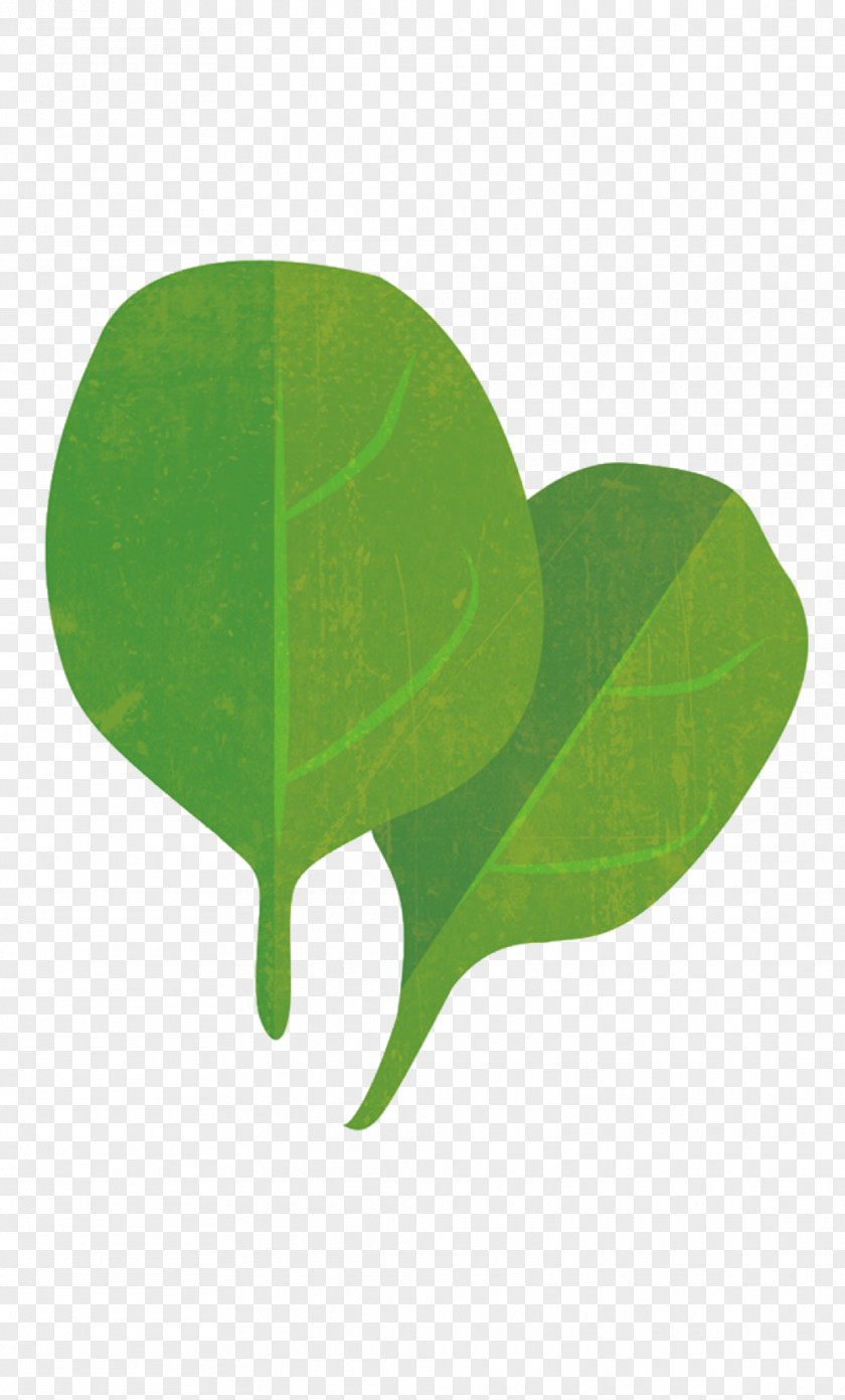 Spinach Baby Food Chef Leaf PNG