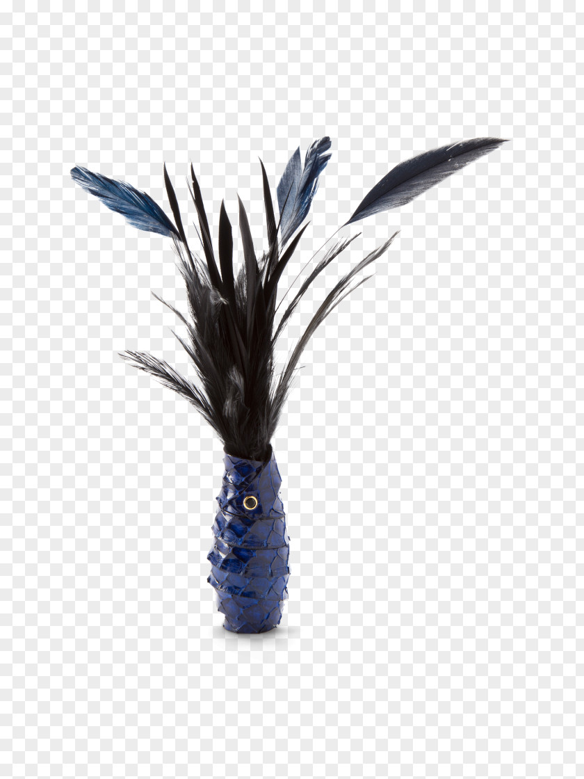 Blue Feather Cobalt PNG