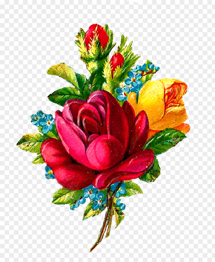 Botanical Flowers Flower Bouquet Rose Clip Art PNG