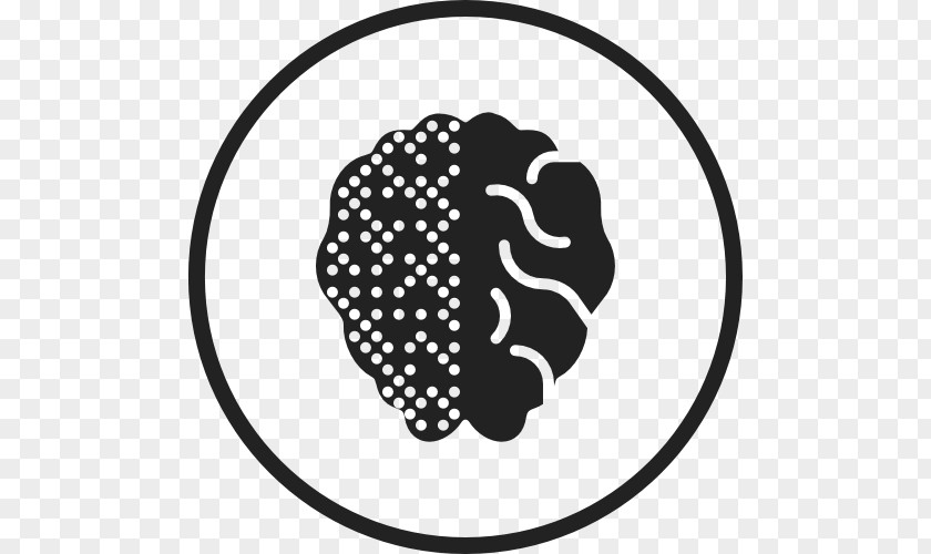 Brain Human Epileptic Seizure Vector Graphics Traumatic Injury PNG