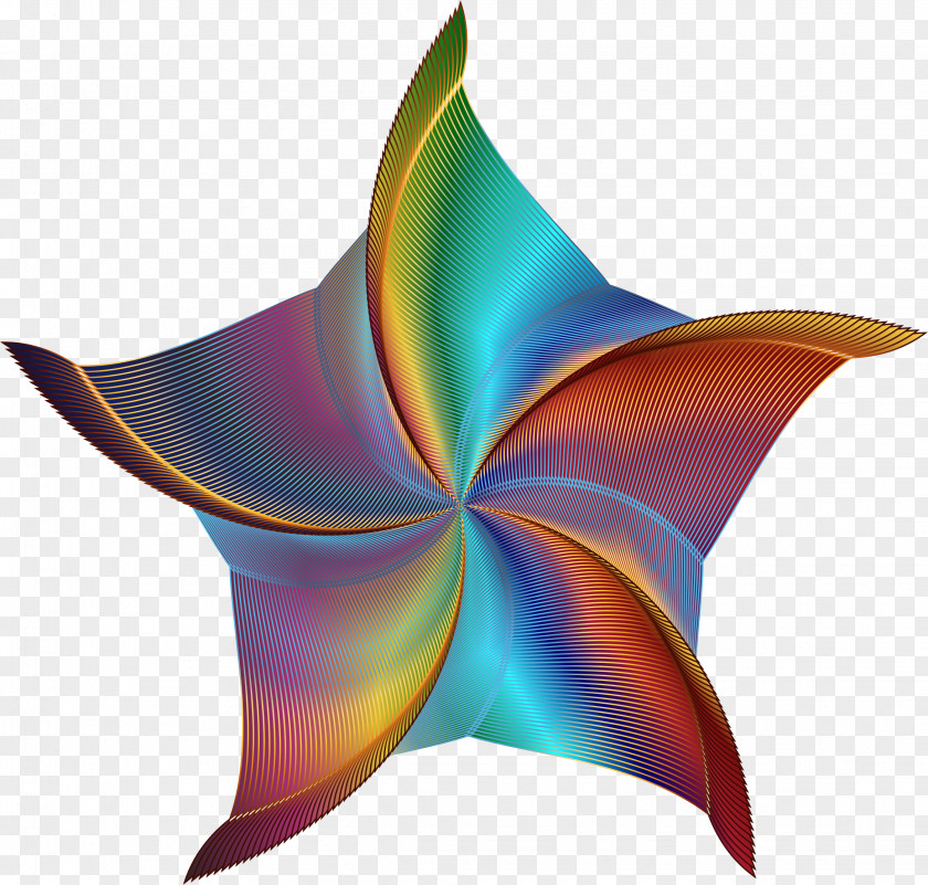 Starfish Vector Line Art Clip PNG