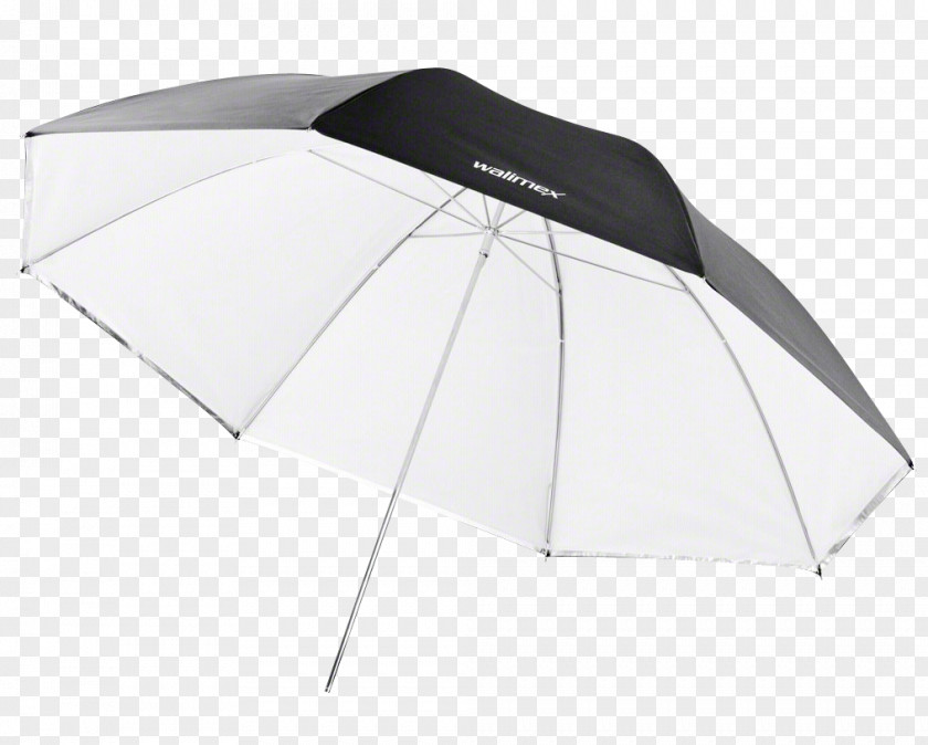 Umbrella Light White Photography Amazon.com PNG