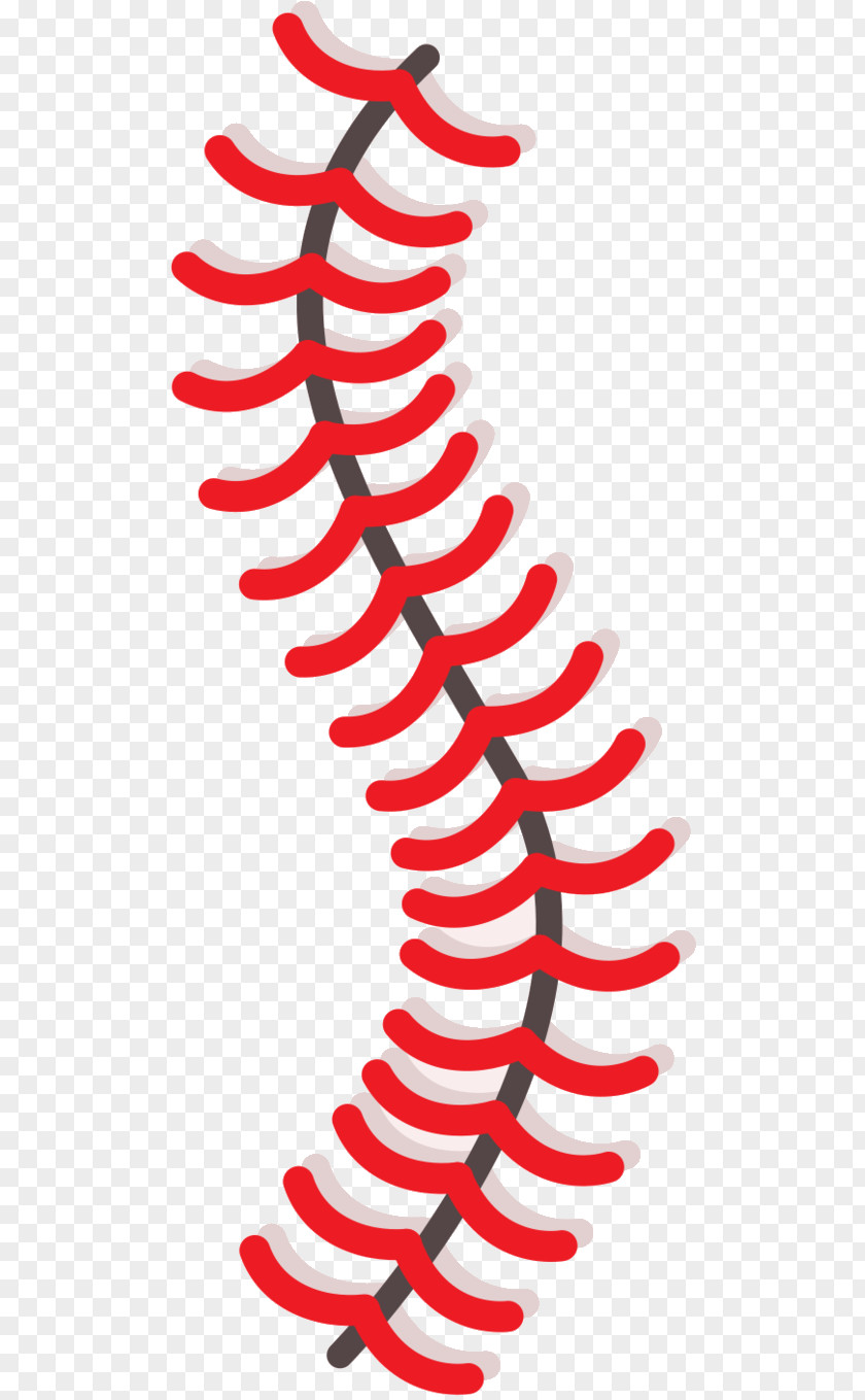 Baseball Basketball Sports Vector Graphics PNG