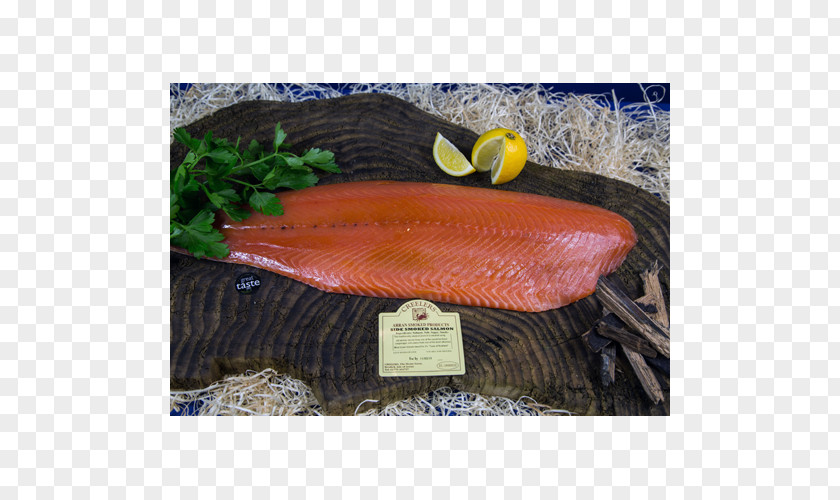 Paterson Arran Ltd Salmon 09777 Platter PNG