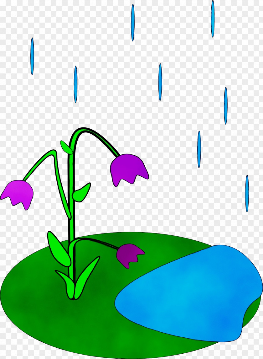 Plant Thunderstorm Watercolor Flower Background PNG