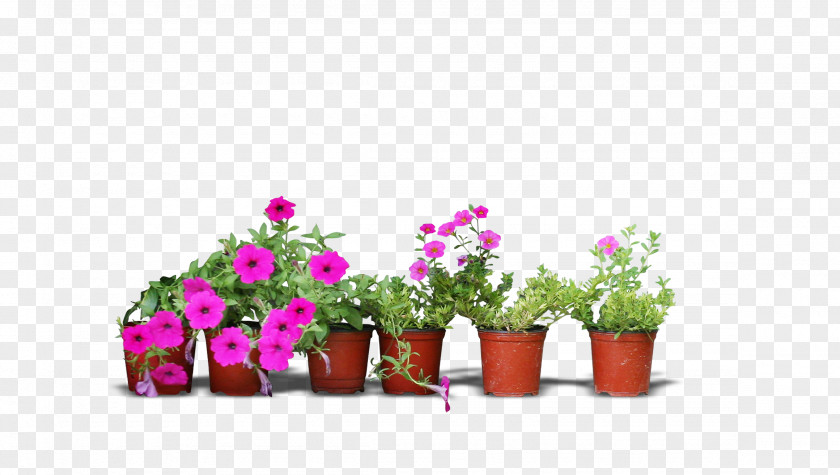 Real Flower Pots PNG