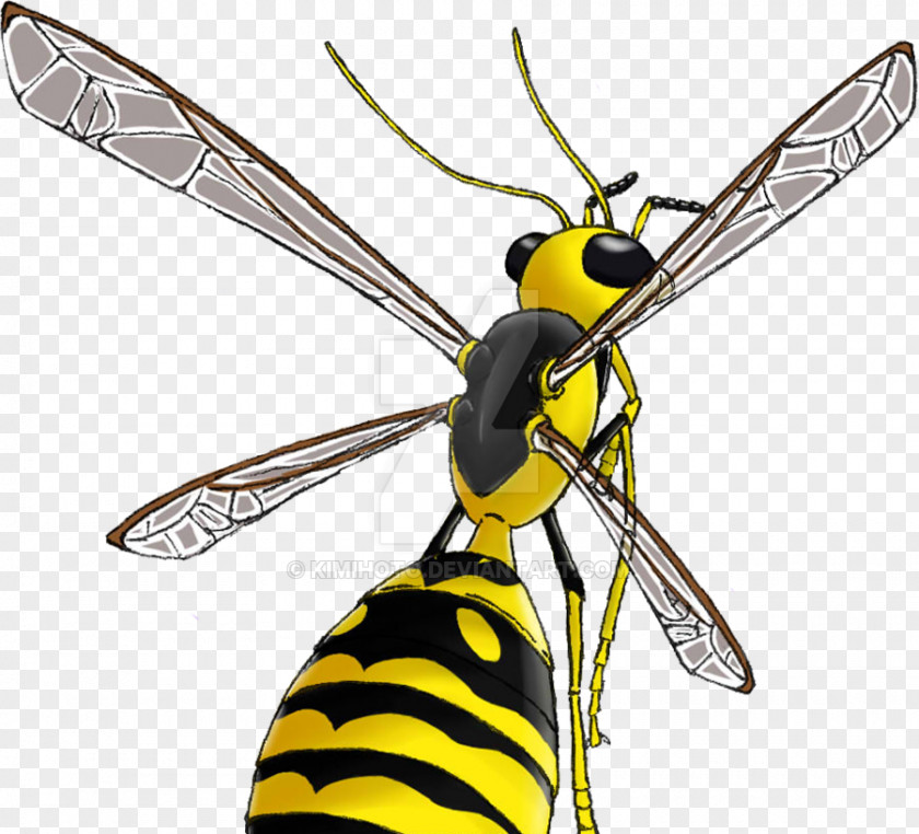 Wasp Insect Honey Bee Hornet PNG