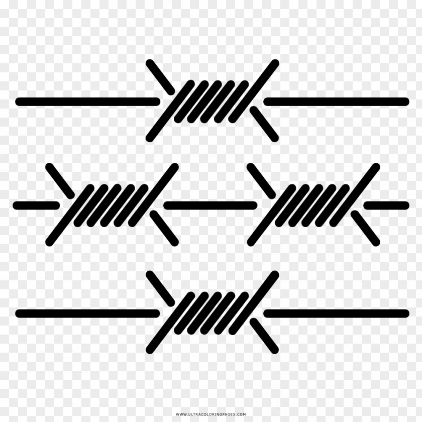 Wire Barbed Drawing PNG
