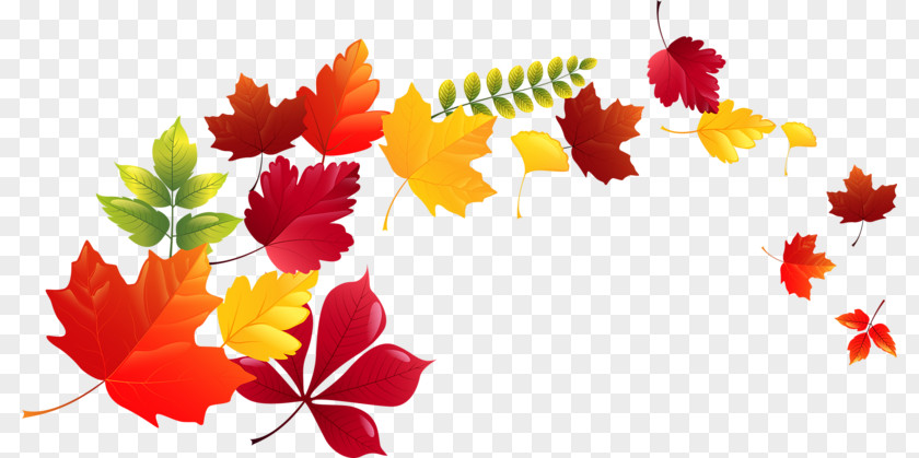 Autumn Vector Graphics Illustration Image Royalty-free PNG