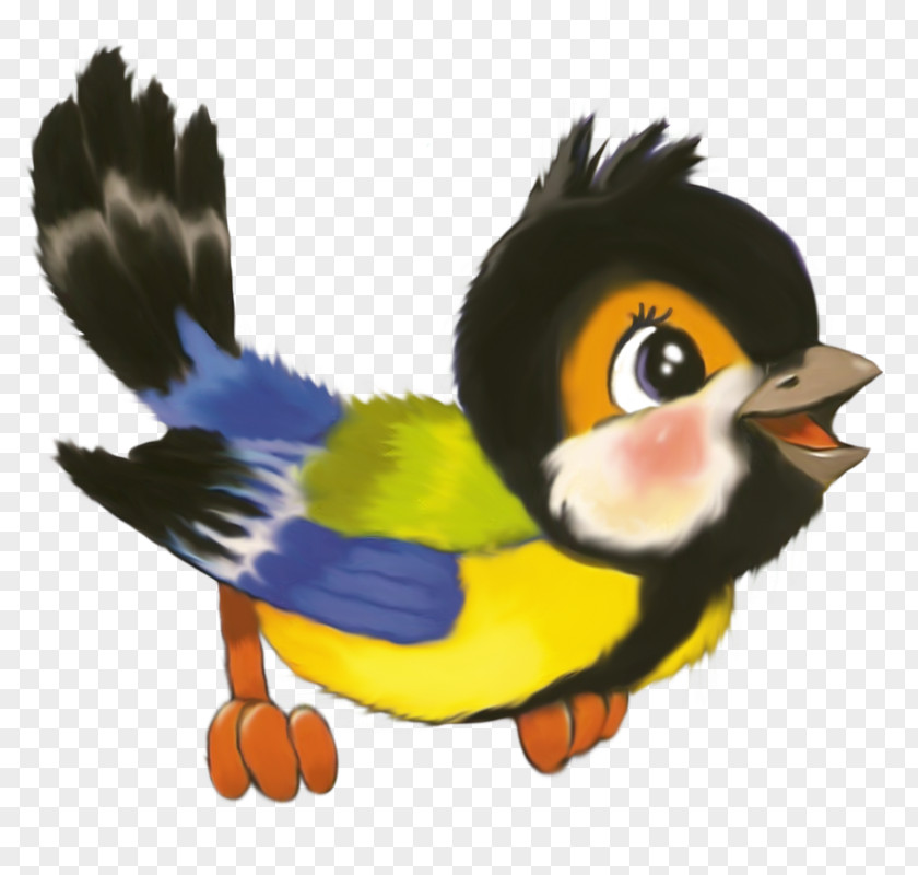 Bird Kindergarten Image Vector Graphics Child PNG