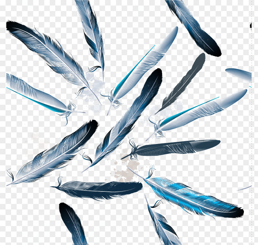 Feather Watercolor Painting PNG