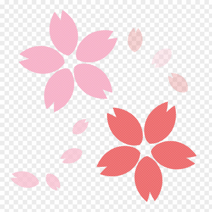 Pink Leaf Petal Plant Pedicel PNG