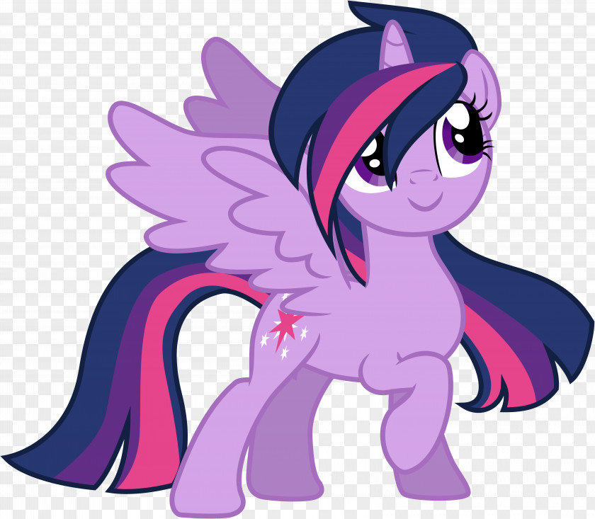Twilight Pony Horse Sparkle Pinkie Pie Rainbow Dash PNG