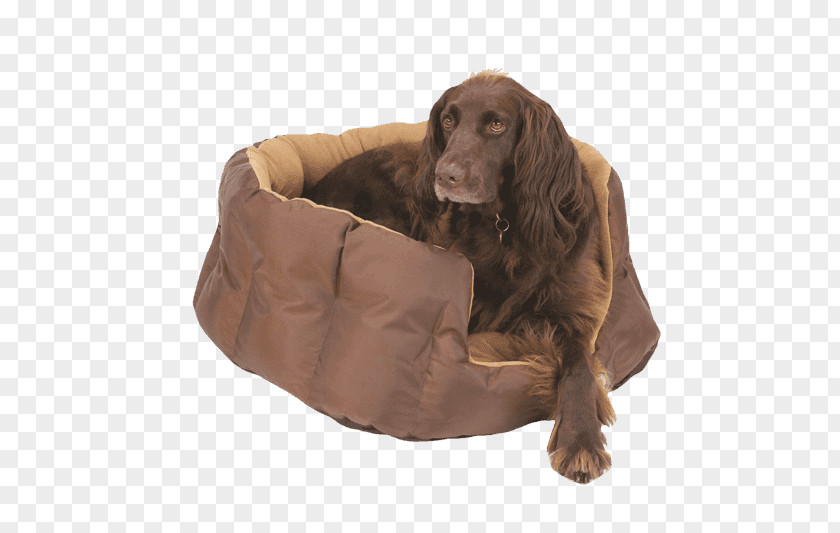 Ali G Boykin Spaniel English Cocker Field Sussex Irish Setter PNG