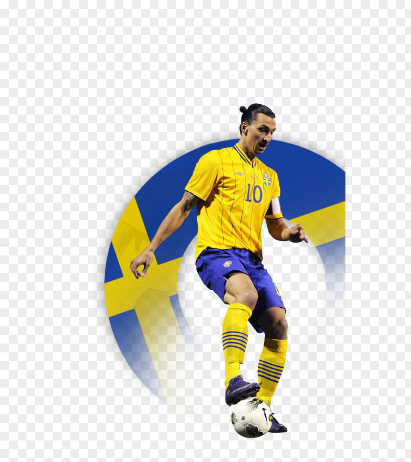 Football Sweden National Team UEFA Euro 2012 Sport Player World Cup PNG