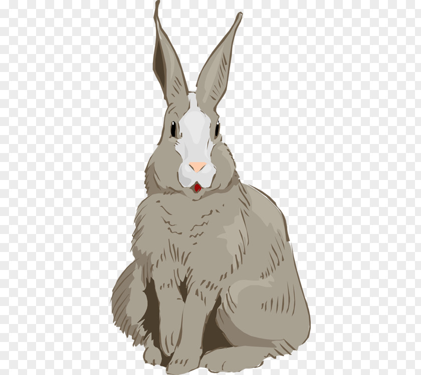 Rabbit Domestic Hare Easter Bunny Cottontail PNG