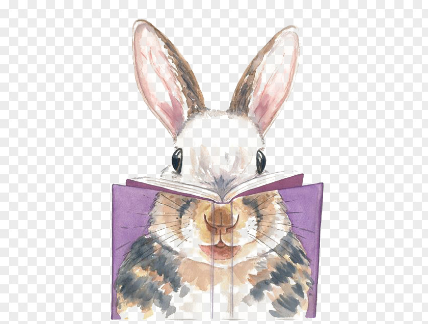 Rabbit Reading Watercolor Painting Artist PNG