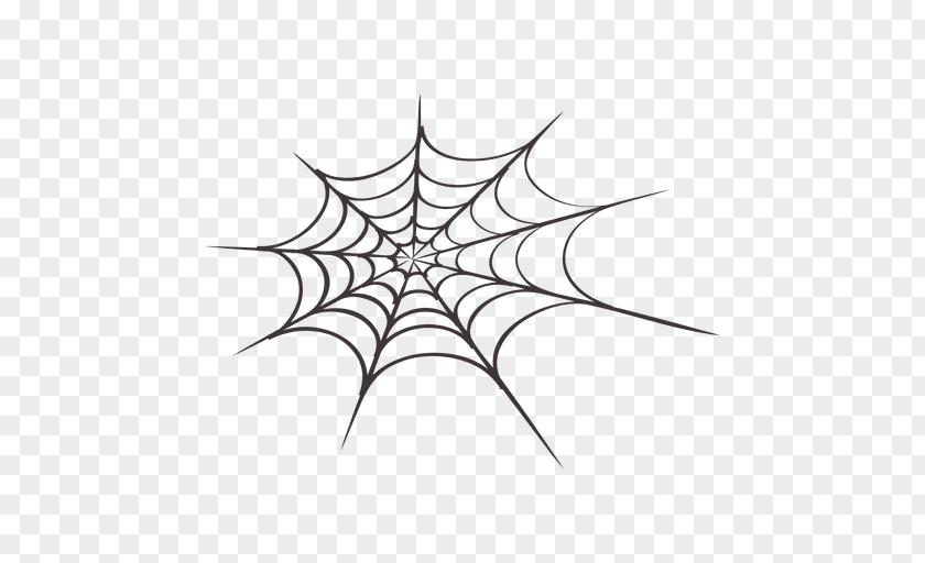 TELA Spider Web Southern Black Widow Drawing Clip Art PNG