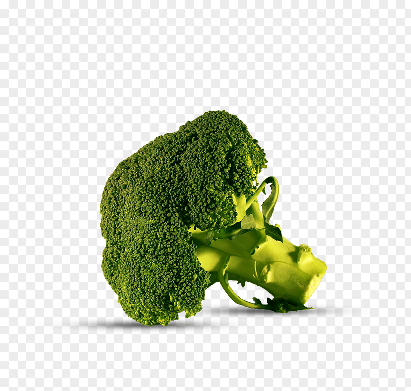 Broccoli Vegetable Brassica Oleracea Var. Italica Iceberg Lettuce Timon & Pumbaa Les Globe-Trotters PNG