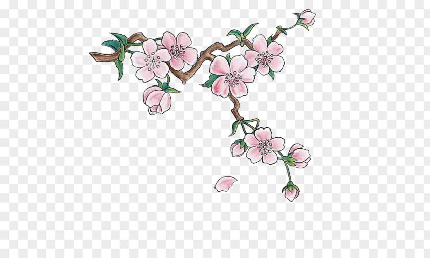 Hand-painted Cherry Japan Blossom Drawing Sticker PNG