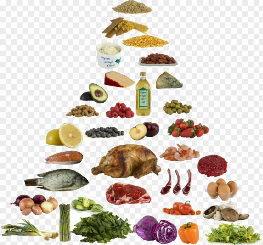 Health Low-carbohydrate Diet Atkins Ketogenic PNG