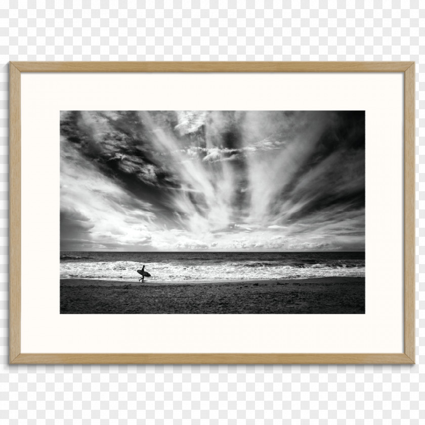 Lonely Goose Art Photography Printmaking Canvas Print PNG