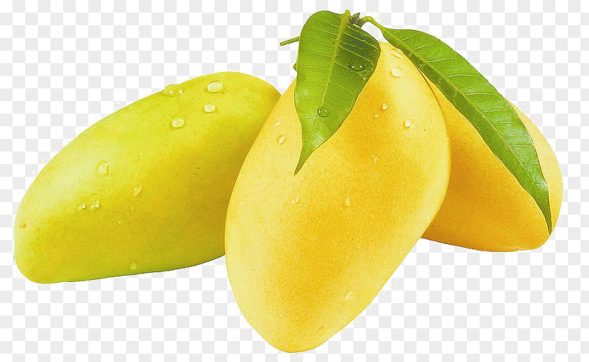 Three Mango PNG mango clipart PNG