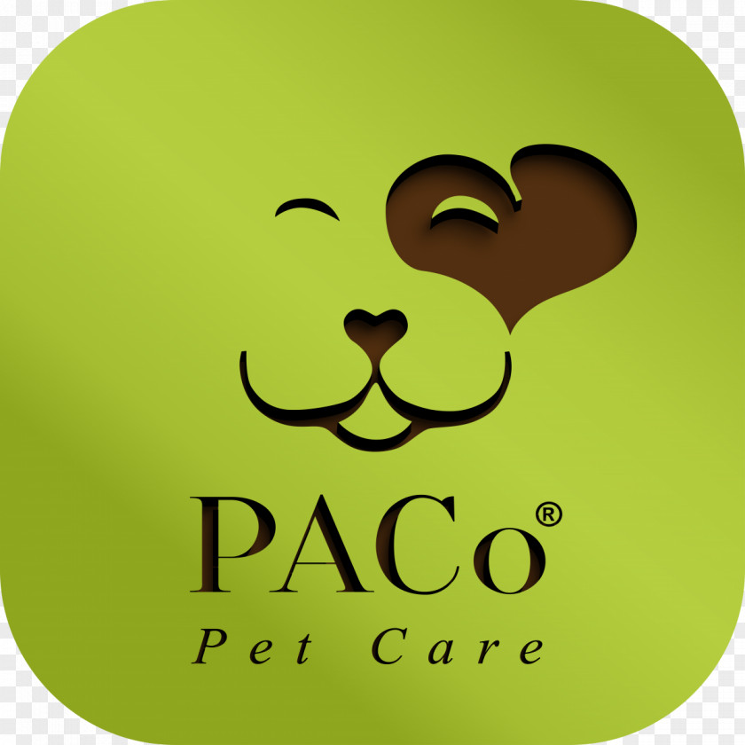 Cat Pet Sitting PACo Care LLC Taxi PNG