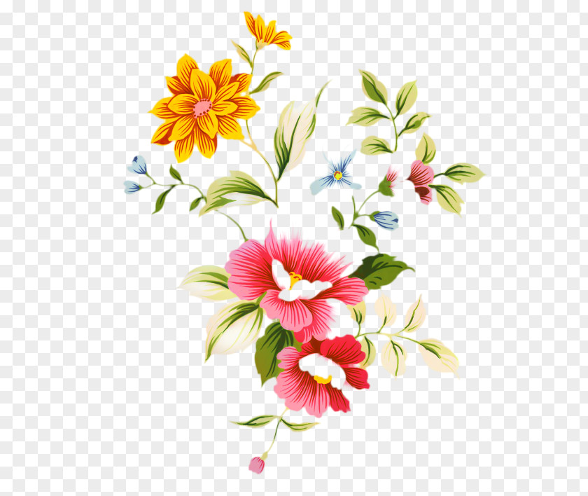 Clip Art Flower Transparency Image PNG