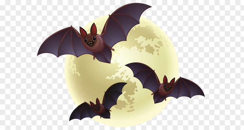 Creative Halloween Bat Clip Art PNG