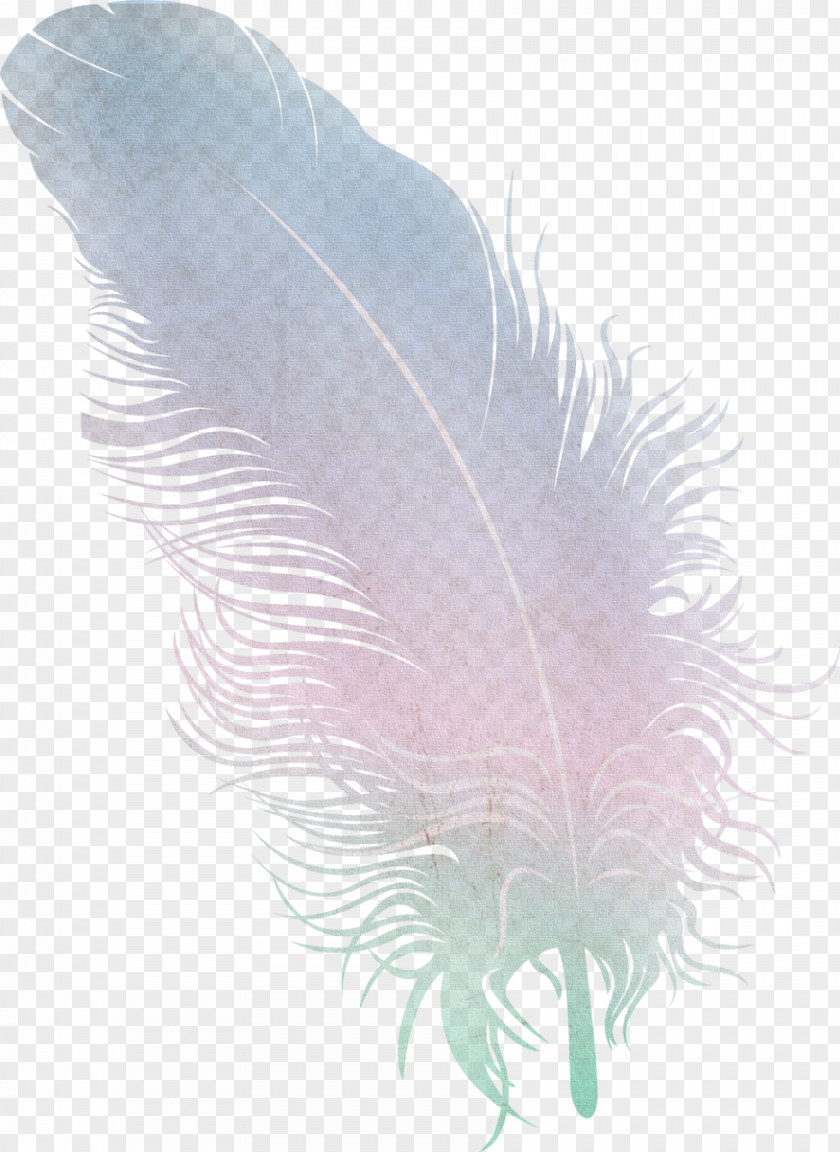 Feather Wing PNG