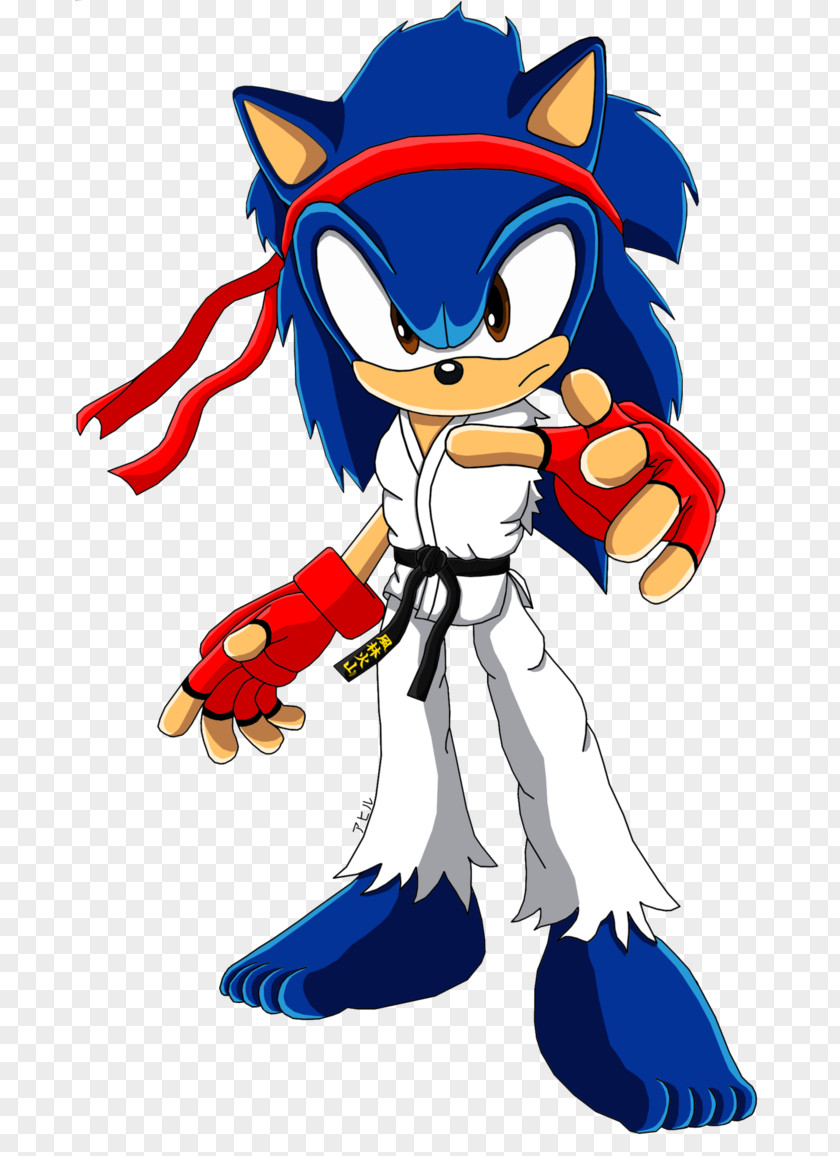 Mighty The Armadillo Ryu Sonic Dash Shadow Hedgehog Forces Adventure 2 PNG