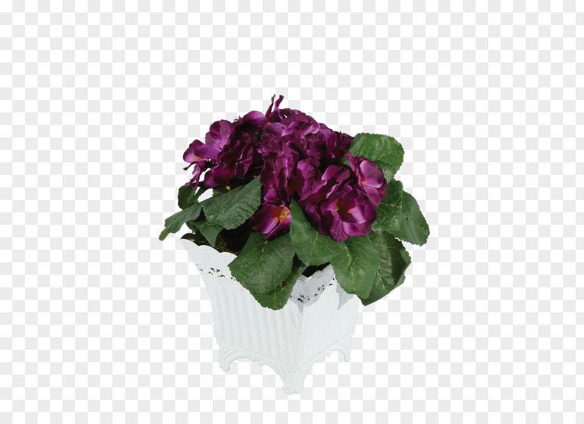 Violet Cyclamen Flowerpot Annual Plant Cut Flowers PNG