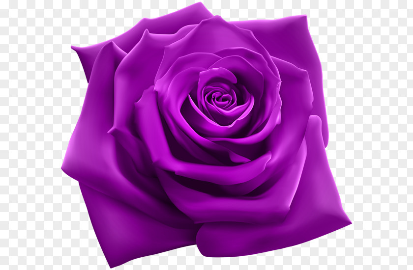 Carnival Mask Rose Purple Clip Art PNG