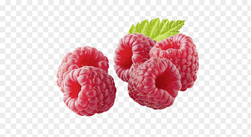 Framboise Background Red Raspberry Drawing Image Unsere Heimat PNG