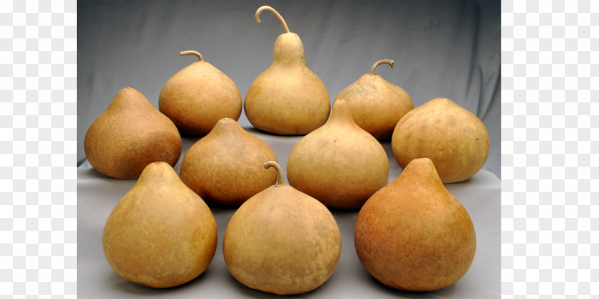 Gourd Boxed.com Shopping Grocery Store PNG