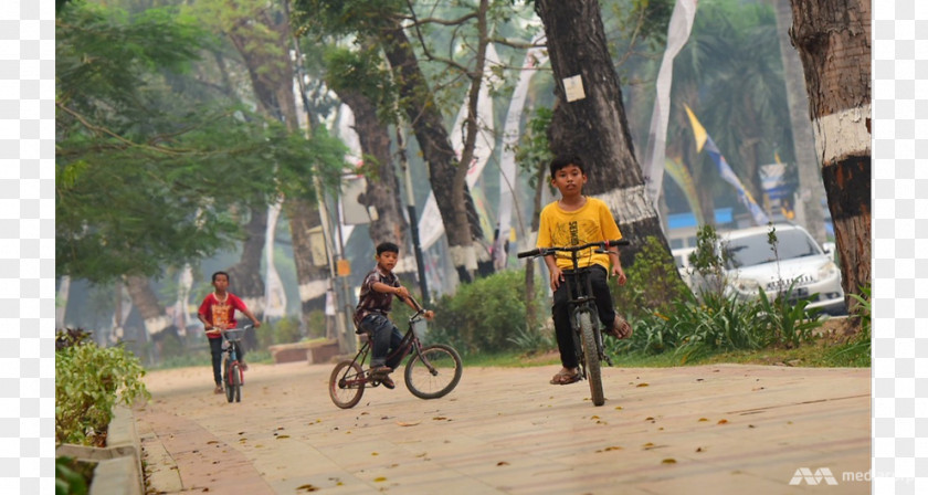 Bicycle Mountain Bike Racing Hybrid Adventure PNG