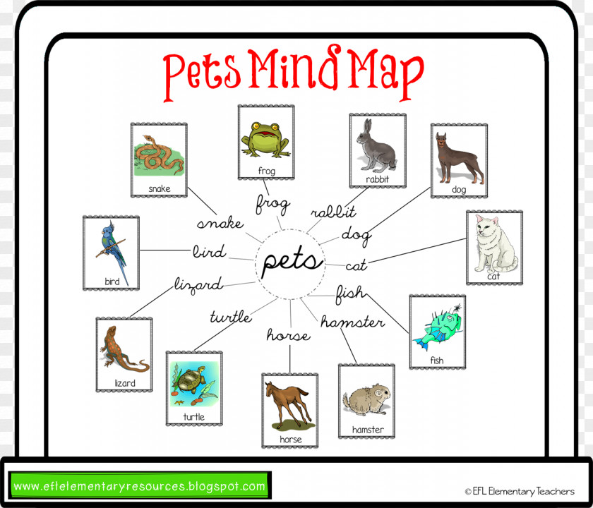 Bilingual Elementary Teacher Resume Samples Learning Mind Map Word Vocabulary Pet PNG