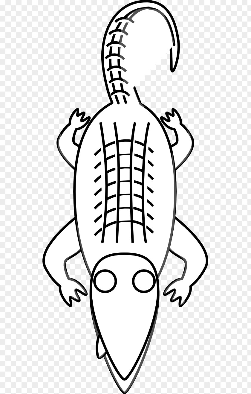 Cartoon Jellyfish Pictures Alligator Crocodile Clip Art PNG