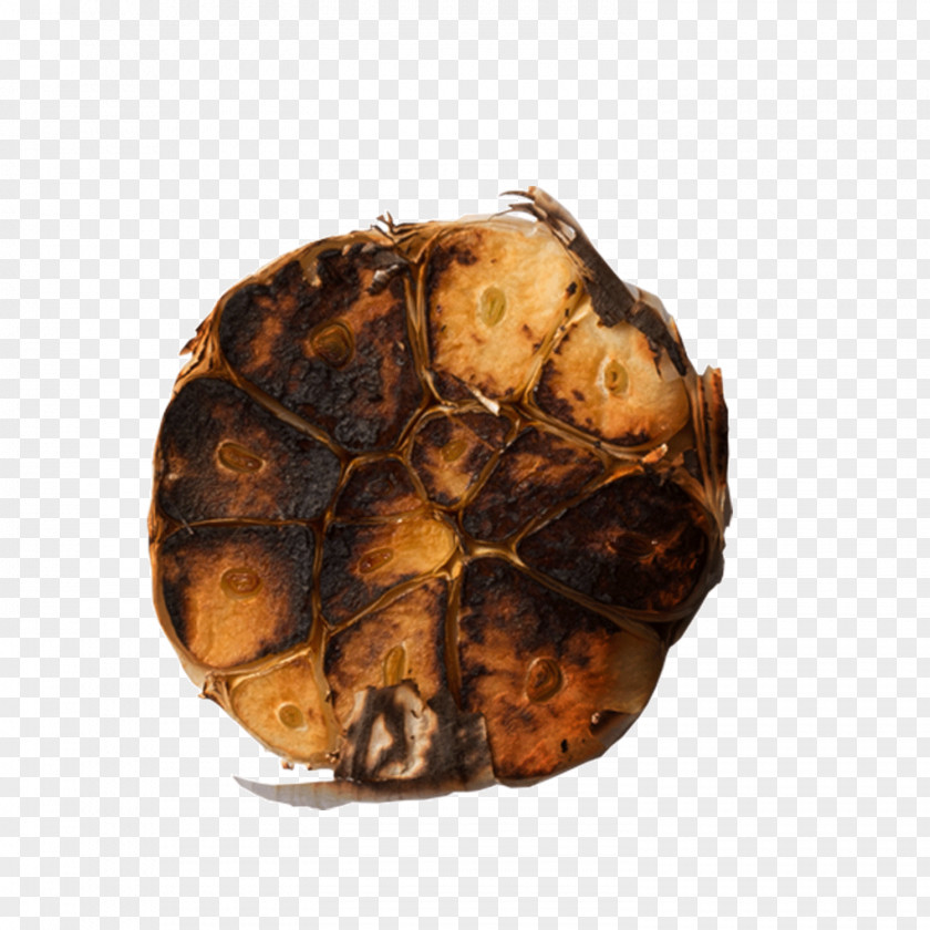 Gray Seared Garlic Download Barbecue Icon PNG