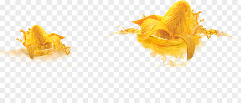 Mango Fizzy Drinks Aguas Frescas Lemonade Flavor PNG