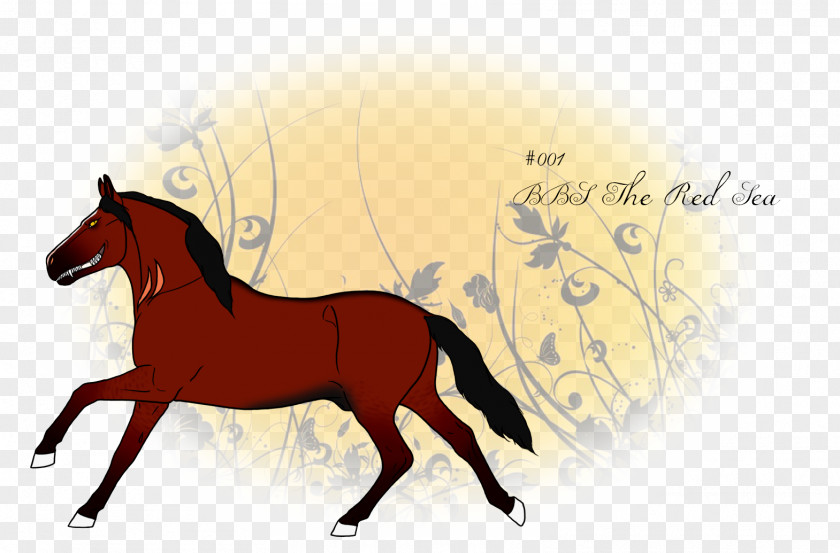 Mustang Foal Stallion Colt Bridle PNG