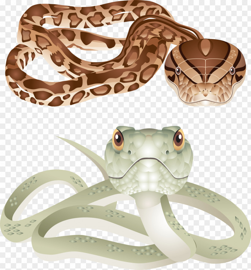 Snake Rattlesnake Clip Art PNG