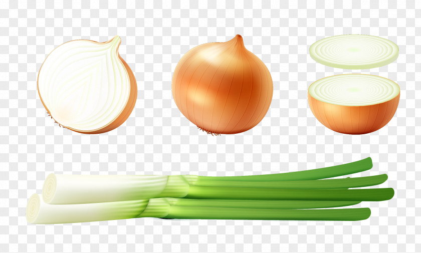 Vector Green Onions Onion Diet Food PNG