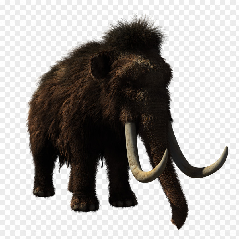 Wild Animal T-shirt Mammoth Spreadshirt Cap PNG