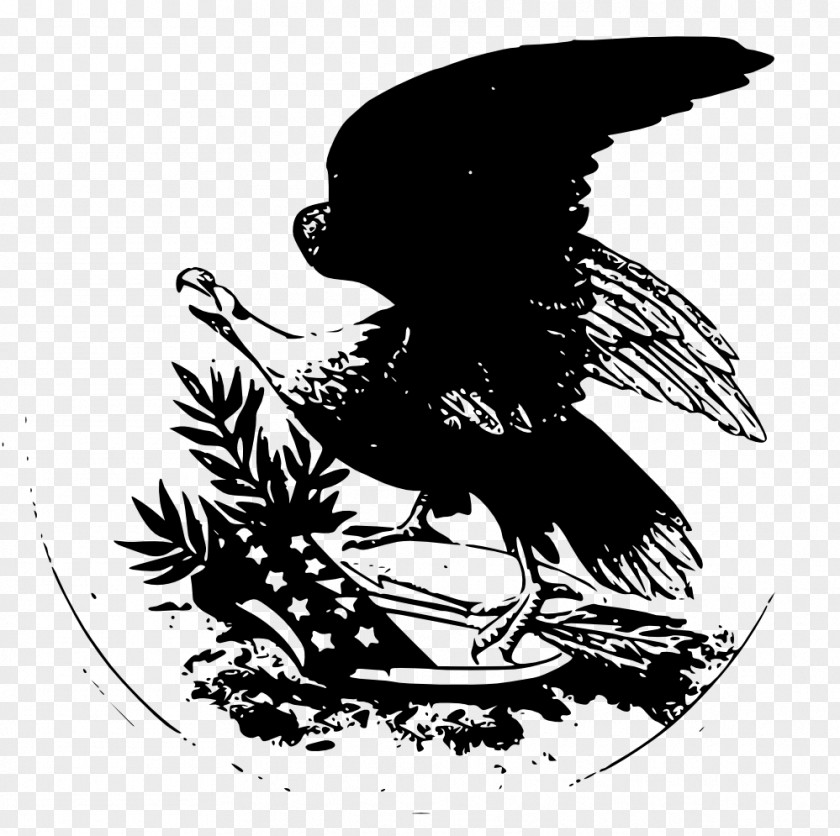 American Eagle Bird Black And White Monochrome Photography Art PNG