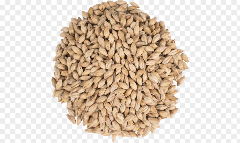 Beer Oat Bird Food Malt PNG